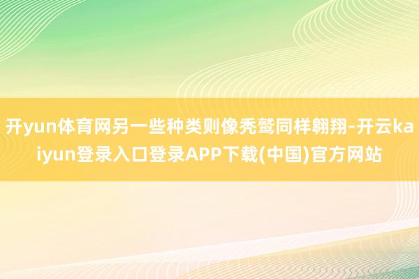 开yun体育网另一些种类则像秃鹫同样翱翔-开云kaiyun登录入口登录APP下载(中国)官方网站